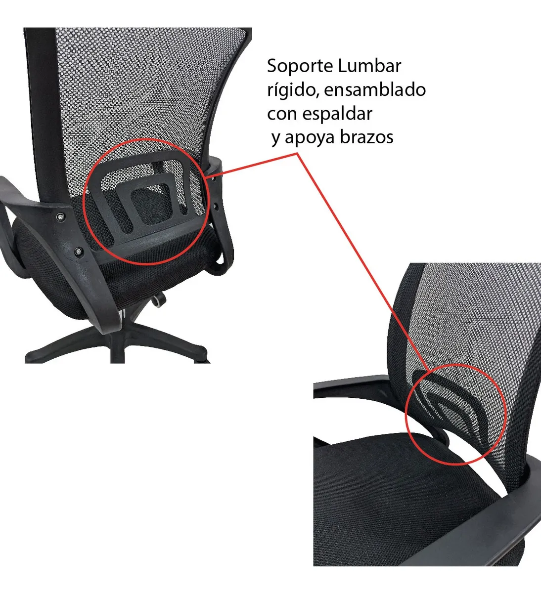 Sillón Ejecutivo Respaldo Bajo - Imagen 3